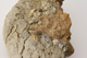 FileNo.160-100.jpg