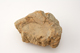 FileNo.160-101.jpg