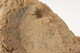 FileNo.160-102.jpg