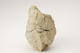 FileNo.160-106.jpg