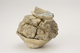 FileNo.160-109.jpg