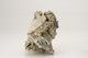 FileNo.160-111.jpg