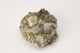 FileNo.160-113.jpg