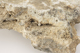 FileNo.160-115.jpg