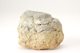FileNo.160-116.jpg