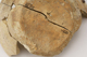 FileNo.160-117.jpg