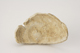 FileNo.160-119.jpg