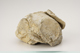 FileNo.160-124.jpg