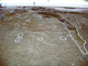 FileNo.162-007.jpg