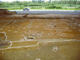 FileNo.162-009.jpg