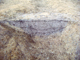 FileNo.162-013.jpg