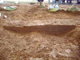 FileNo.162-015.jpg