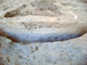 FileNo.162-016.jpg