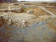 FileNo.162-018.jpg