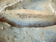 FileNo.162-019.jpg