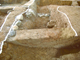FileNo.162-023.jpg