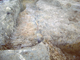 FileNo.162-026.jpg
