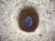 FileNo.162-031.jpg