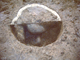 FileNo.162-035.jpg