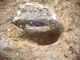 FileNo.162-036.jpg