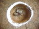 FileNo.162-037.jpg