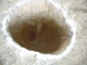 FileNo.162-039.jpg