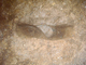 FileNo.162-044.jpg