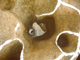 FileNo.162-045.jpg