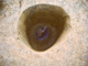 FileNo.162-046.jpg