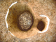 FileNo.162-048.jpg