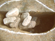 FileNo.162-054.jpg