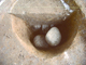 FileNo.162-056.jpg