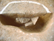 FileNo.162-059.jpg