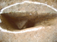 FileNo.162-060.jpg