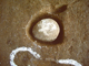 FileNo.162-062.jpg