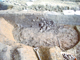 FileNo.162-064.jpg