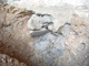 FileNo.162-069.jpg