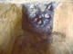 FileNo.162-074.jpg
