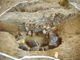 FileNo.162-078.jpg