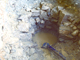 FileNo.162-081.jpg