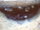 FileNo.162-082.jpg