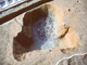 FileNo.162-083.jpg