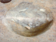FileNo.162-089.jpg