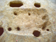 FileNo.162-092.jpg