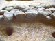 FileNo.162-093.jpg