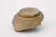 FileNo.162-097.jpg