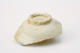 FileNo.162-132.jpg