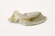 FileNo.162-142.jpg