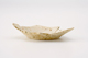 FileNo.162-170.jpg
