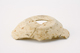FileNo.162-171.jpg